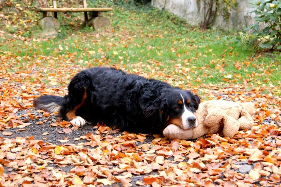 Baunhoeller-Muehle Emmelshausen Buitenkant foto