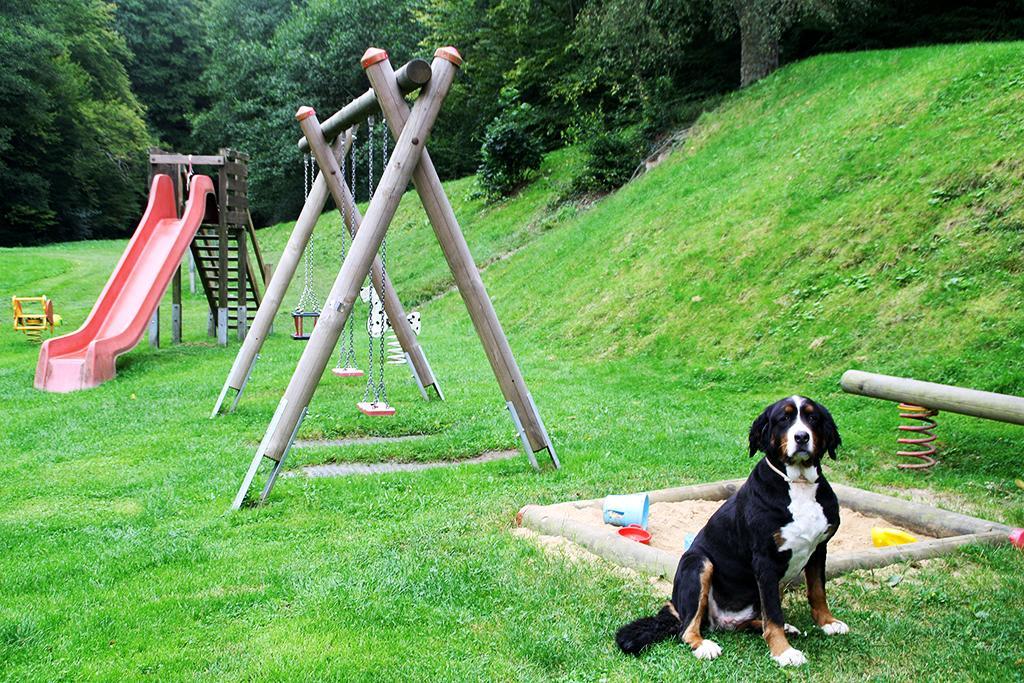 Baunhoeller-Muehle Emmelshausen Buitenkant foto